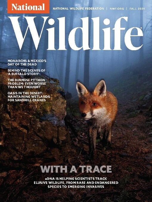 Title details for National Wildlife by National Wildlife Federation - Available